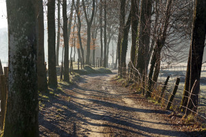 quadrifoglio-azzurro-3-la-stradella-all'altezza-di-Cascina-Baragioli