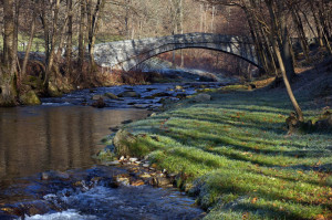 quadrifoglio-azzurro-5-l'Agogna-al-ponte-romano