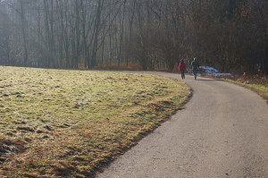 quadrifoglio-azzurro-6-a-sud-di-Cascine-Pezzasco