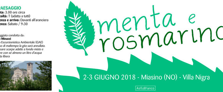 2 e 3 giugno 2018 | Menta e Rosmarino