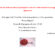13/06/2025 | Inaugurazione “Parco Magico”